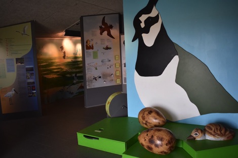 Naturcenter Skjern Enge